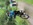 07.06.2026 ADFC Radtour, © Manfred Bartels