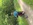 07.06.2026 ADFC Radtour, © Manfred Bartels